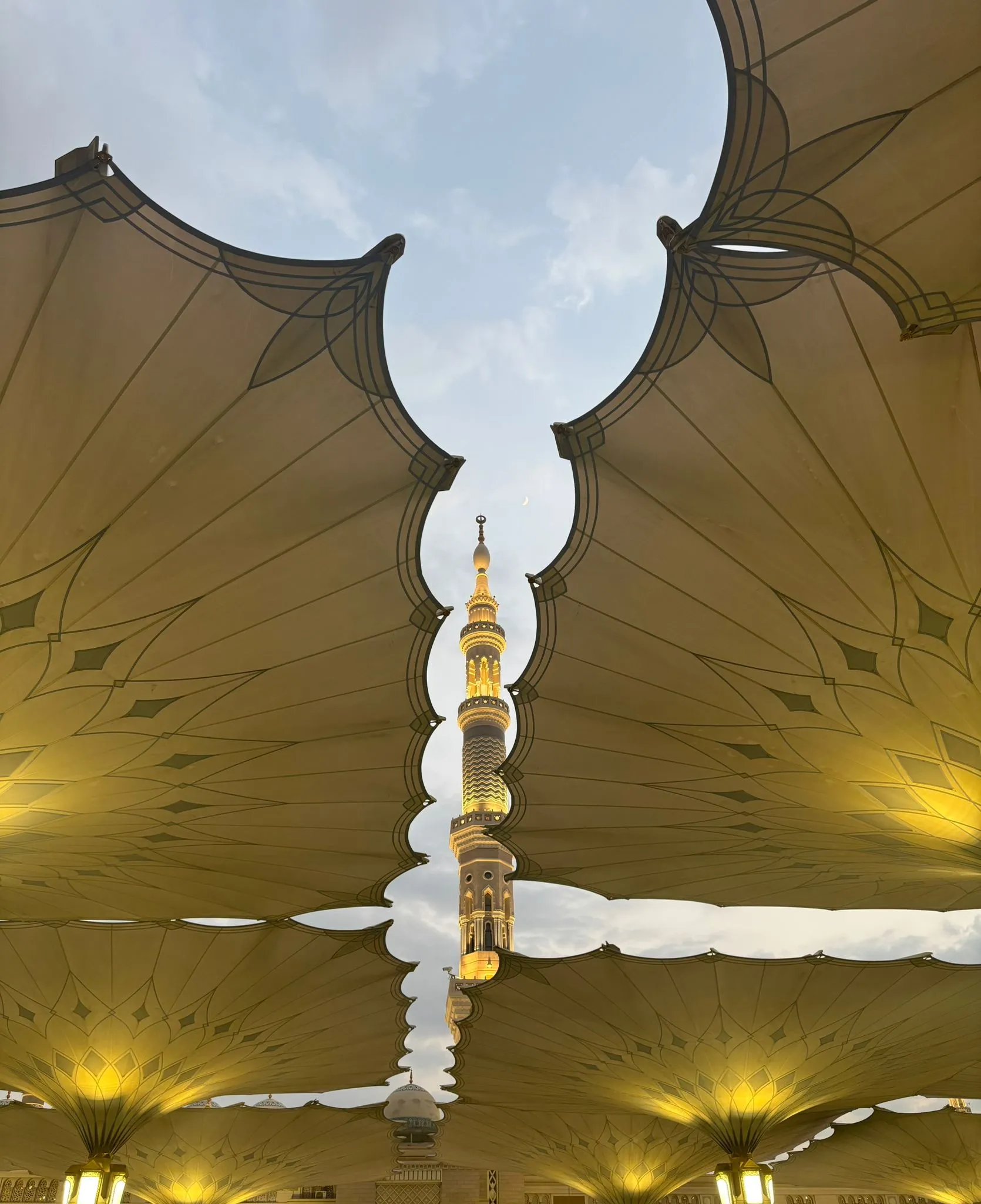 Historia de la Lengua Árabe: Orígenes, Importancia y Elocuencia